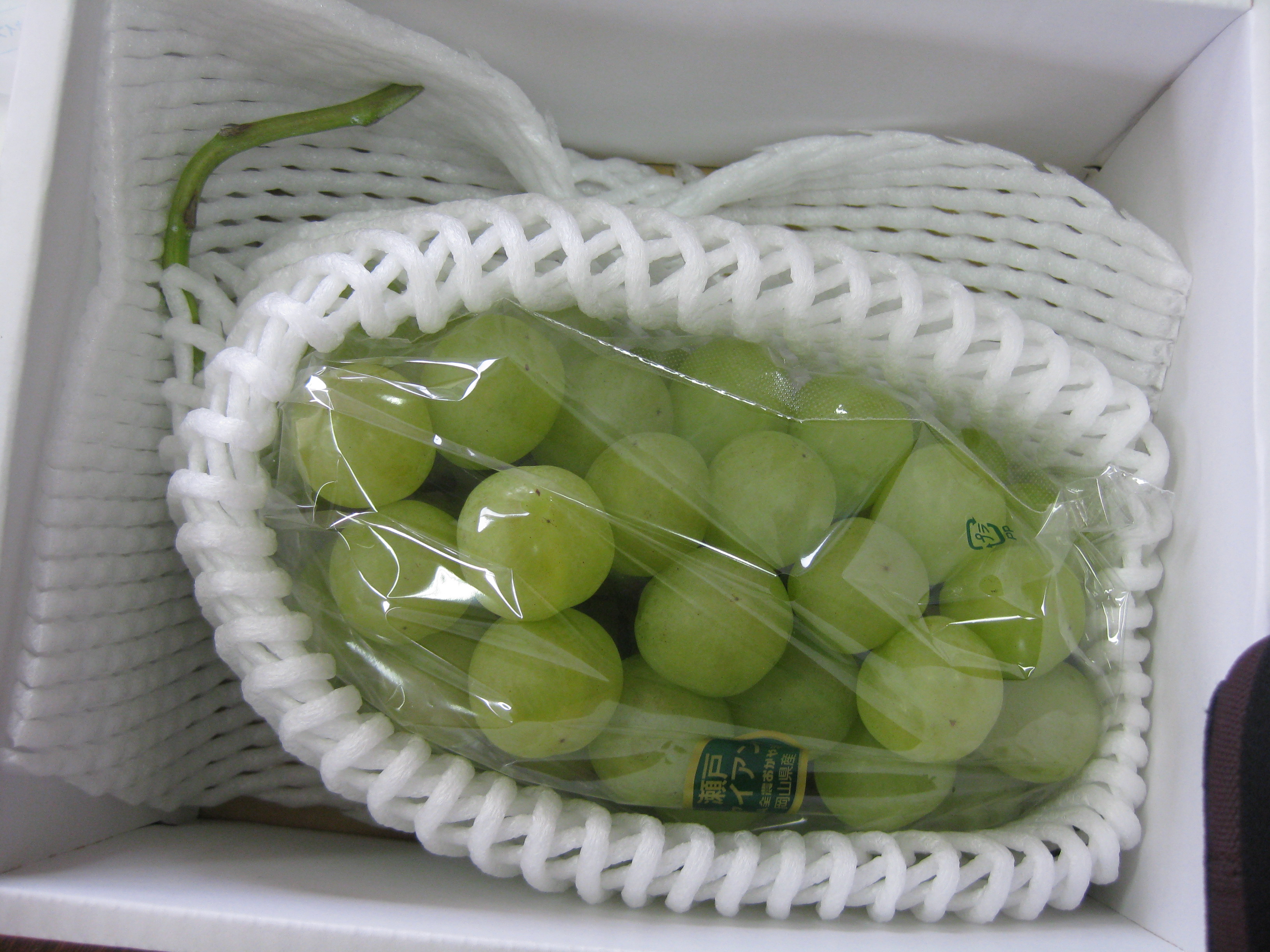 ���i�C���[�W