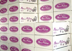 ���i�C���[�W