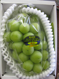 ���i�C���[�W