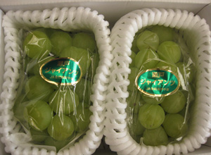 ���i�C���[�W